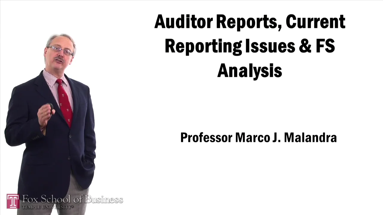 Login to view Auditor Reports Current Reporting Issues and FS Analysis