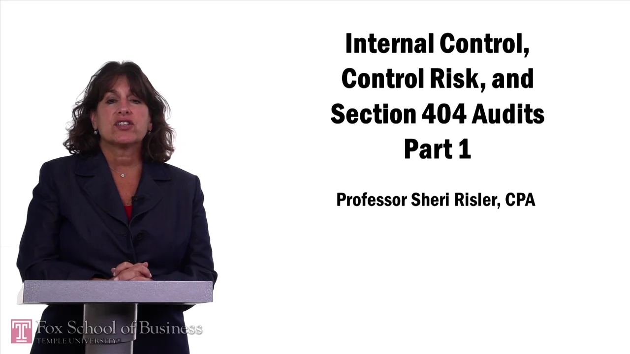 Login to view Internal Control, Control Risk, and Section 404 Audits Part 1